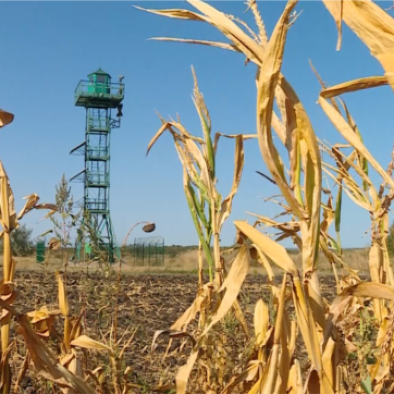 35FE7487-A24A-4E3D-BC26-BFE10D1986D5_w650_r0_s-orig