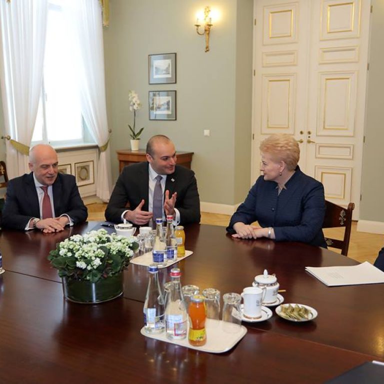 50567719_408549556547786_1810316152484659200_n