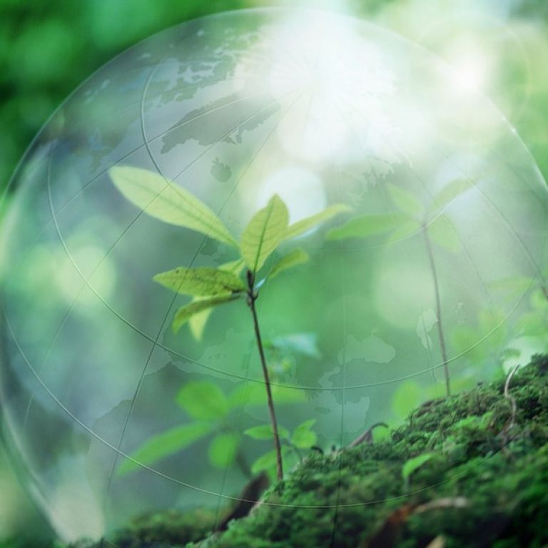 680b7ae40767039a77d736e4fa52b4b0