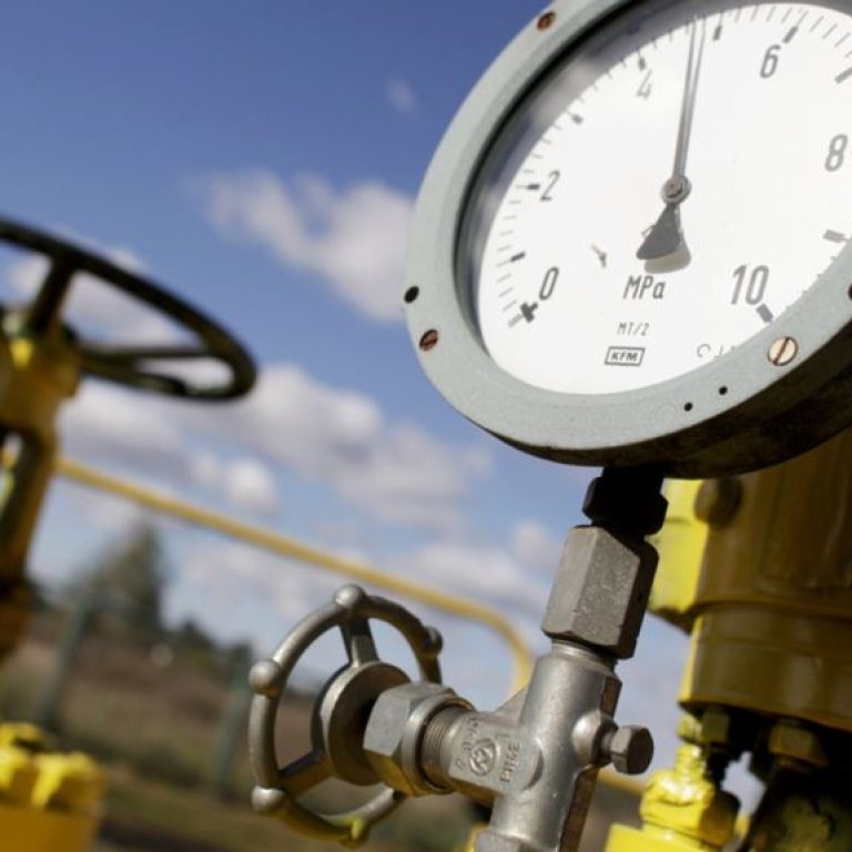 77CE9E98-5DD9-421C-AB58-3A1F2FA15FFD_cx0_cy11_cw0_w1023_r1_s