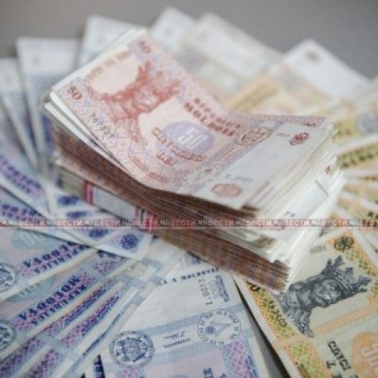 novyieproektyipare11